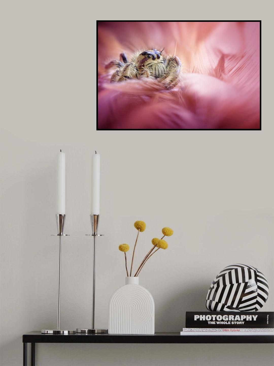 Meet Mr. Grumpy Poster och Canvastavla