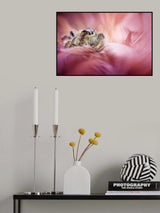 Meet Mr. Grumpy Poster och Canvastavla