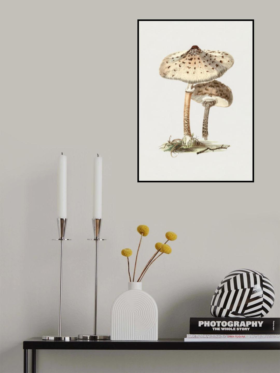 Hand Drawn Parasol Mushroom Poster och Canvastavla