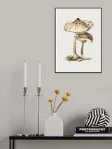 Hand Drawn Parasol Mushroom Poster och Canvastavla