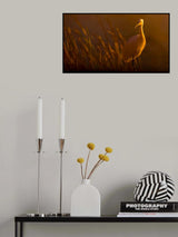 Little egret Poster och Canvastavla