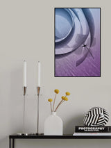 Hydrangea Poster och Canvastavla