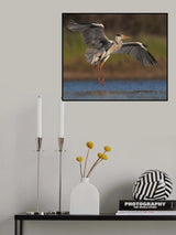 Like an Angel Poster och Canvastavla