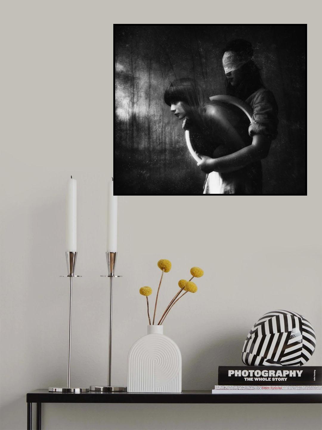 my destiny guide Poster och Canvastavla