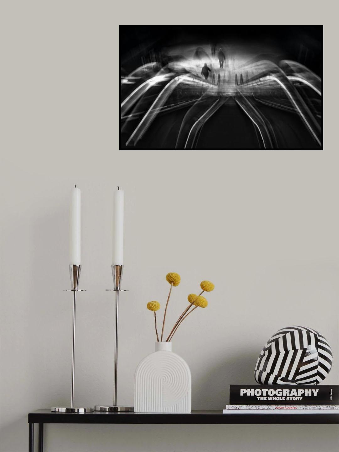 The Spider Poster och Canvastavla