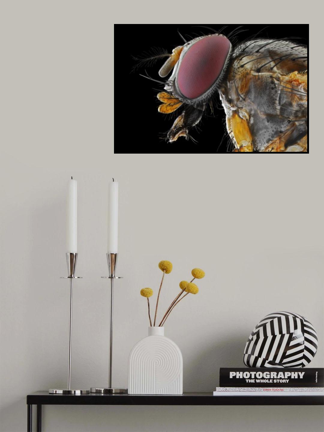Yellow Fly Poster och Canvastavla