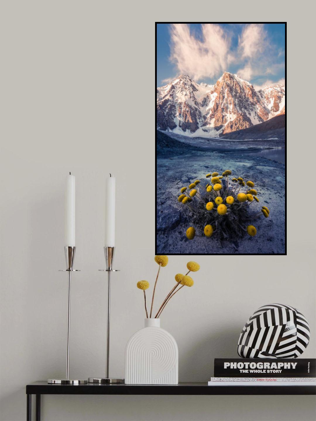 Snow Mountain Camomile 《天山甘菊》 Poster och Canvastavla