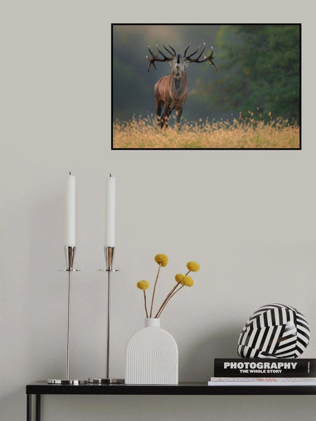 Deer wedding Song Poster och Canvastavla