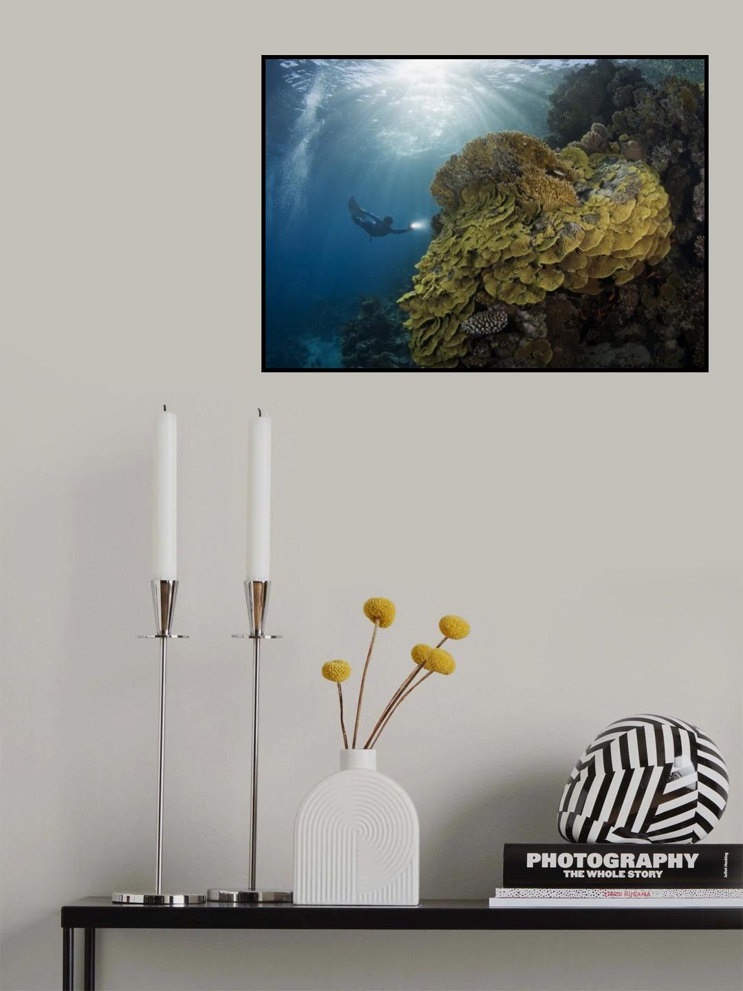 Explorer Poster och Canvastavla