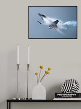 Vador II Poster och Canvastavla