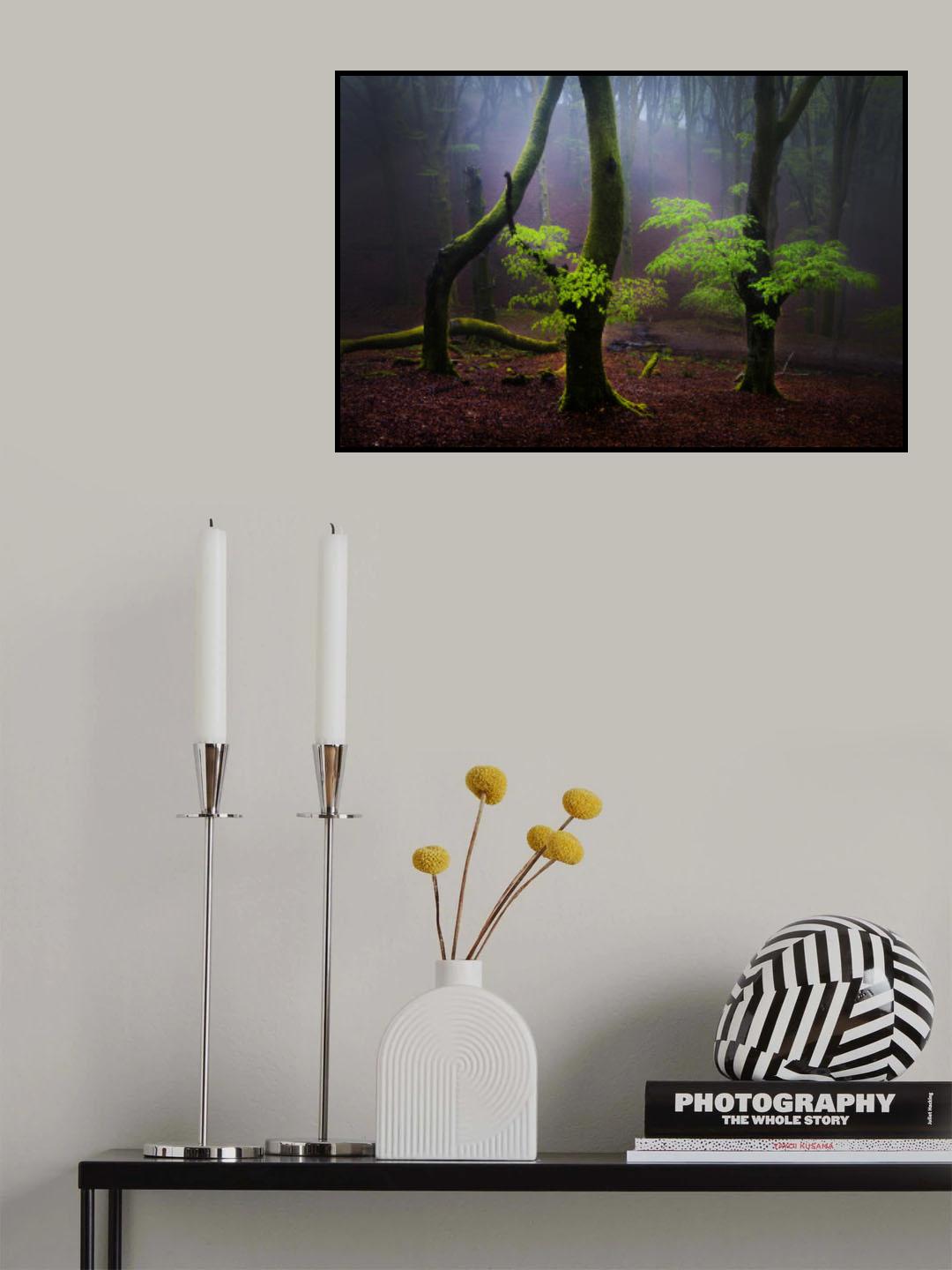Contrasting light Poster och Canvastavla