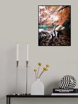 Swan Lake Poster och Canvastavla