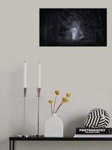 Foggy memory  of the past Poster och Canvastavla