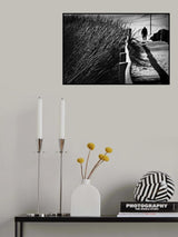 A Place to Survive Poster och Canvastavla