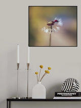 dandelion Poster och Canvastavla