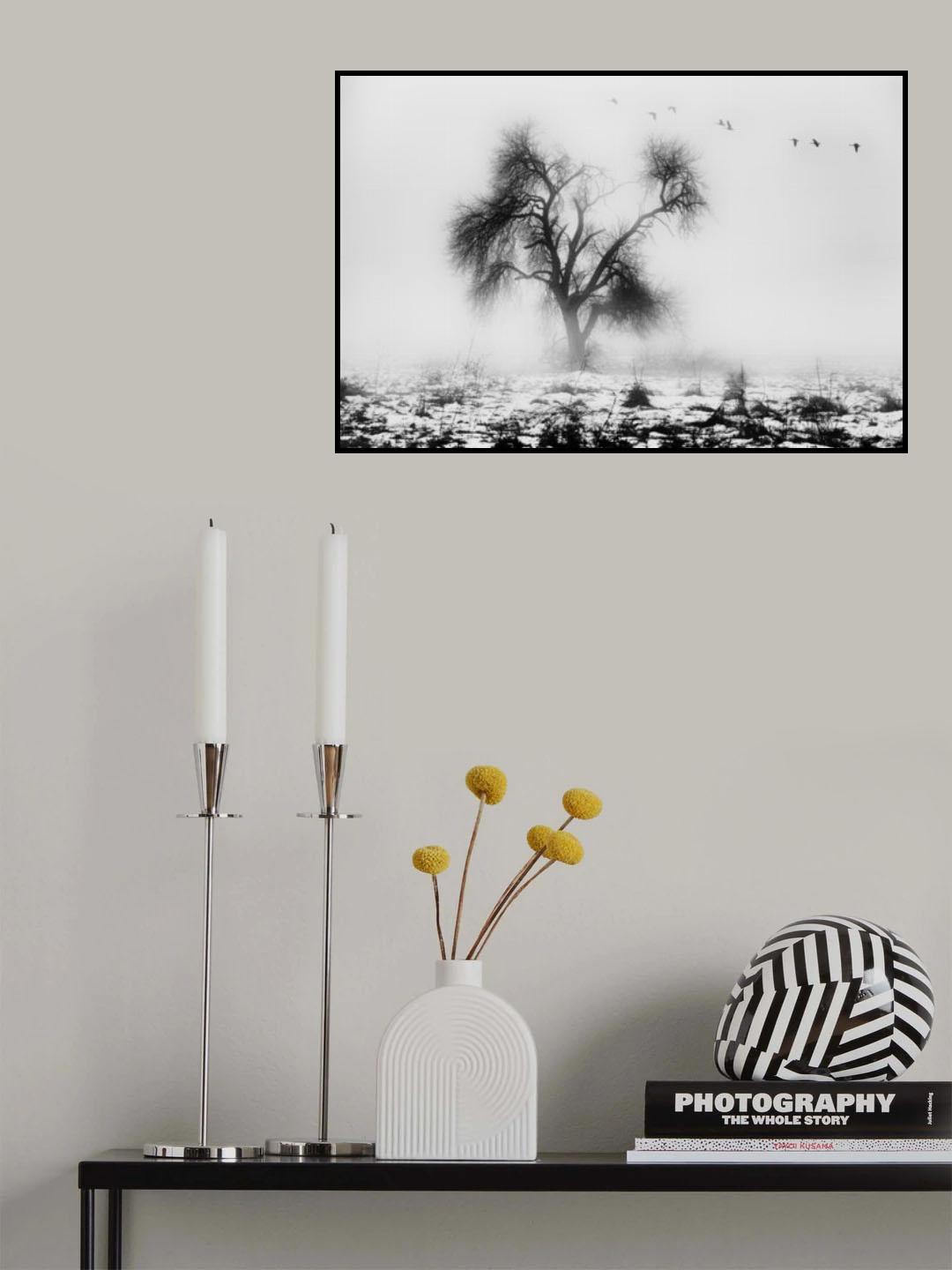 the lost tree Poster och Canvastavla