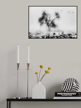 the lost tree Poster och Canvastavla