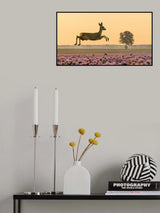 Poster och Canvastavla
