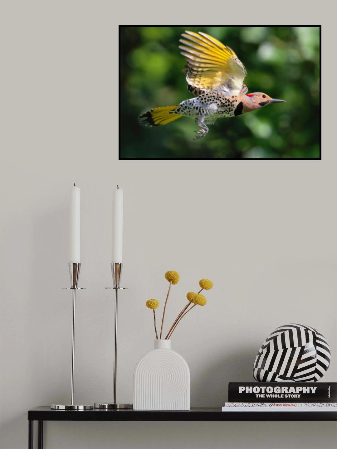 Northern Flicker Poster och Canvastavla