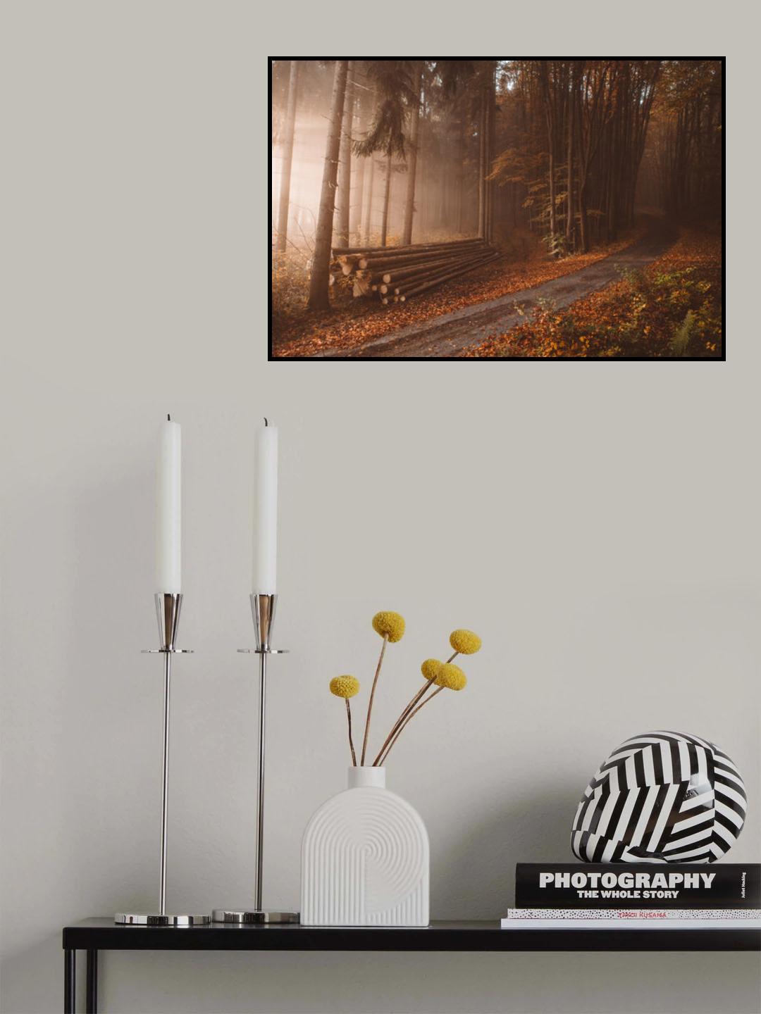 Orange beauty in common things Poster och Canvastavla