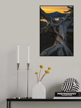 Twist Poster och Canvastavla