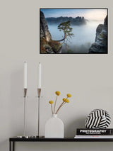 pölking kiefer Poster och Canvastavla
