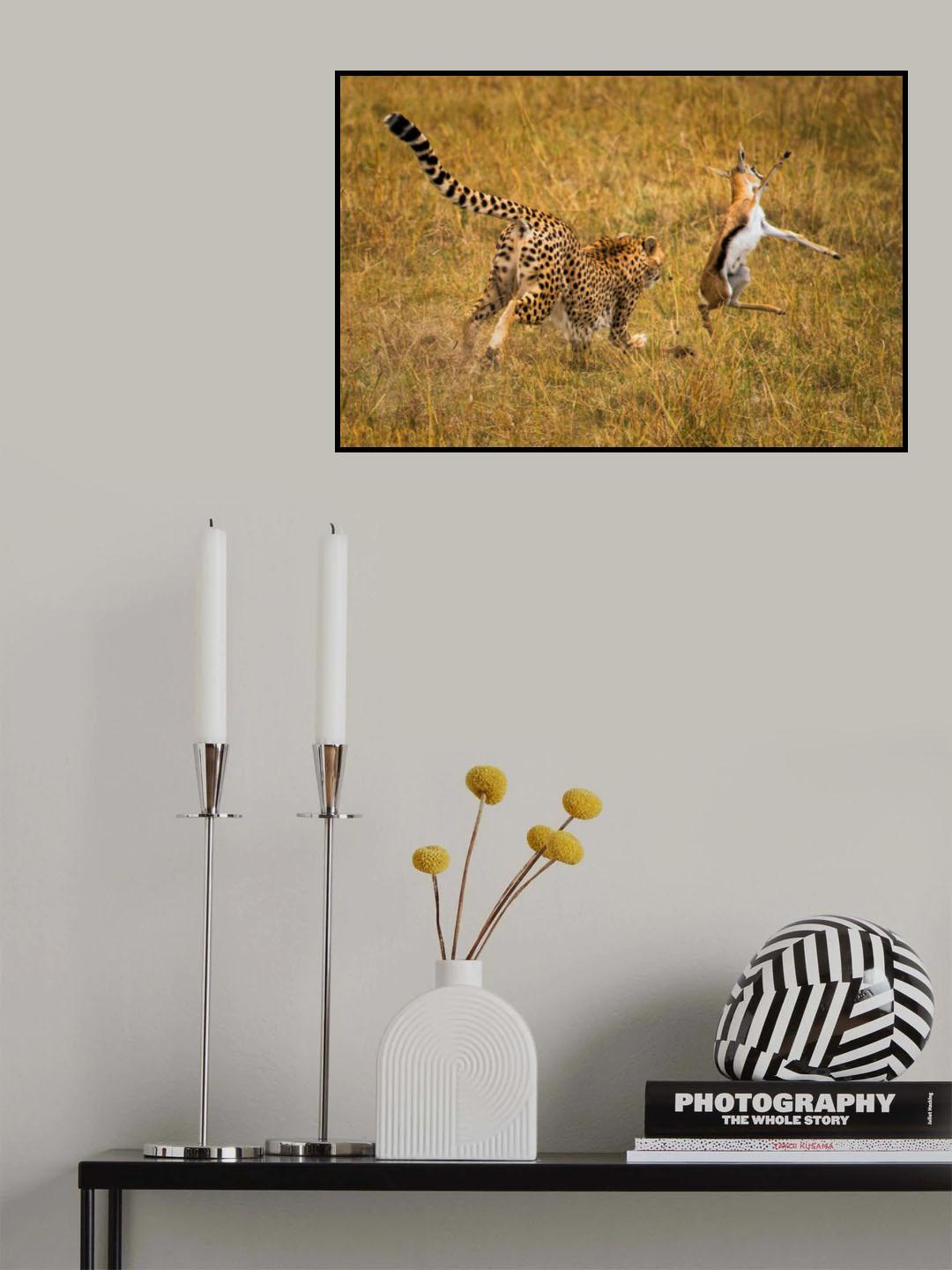 Brace for impact Poster och Canvastavla
