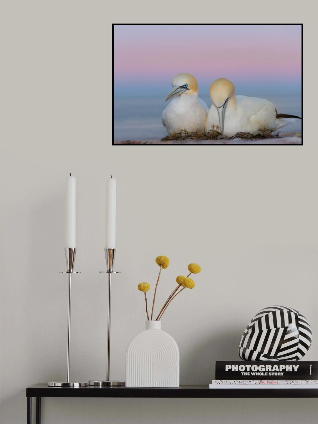 Awakening Poster och Canvastavla