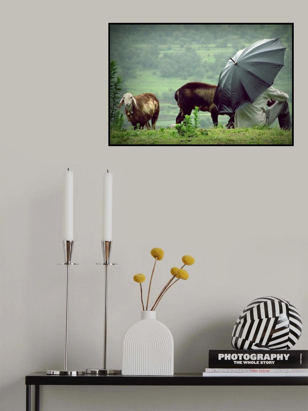 Lavasa Rain Poster och Canvastavla