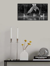 Seagulls Poster och Canvastavla