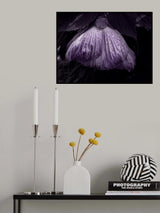 DroOops Poster och Canvastavla