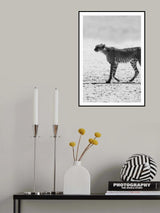 Kitty Kat 02 Poster och Canvastavla