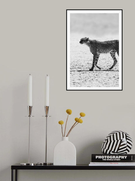 Kitty Kat 02 Poster och Canvastavla