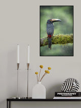 Rain Drops .... Poster och Canvastavla