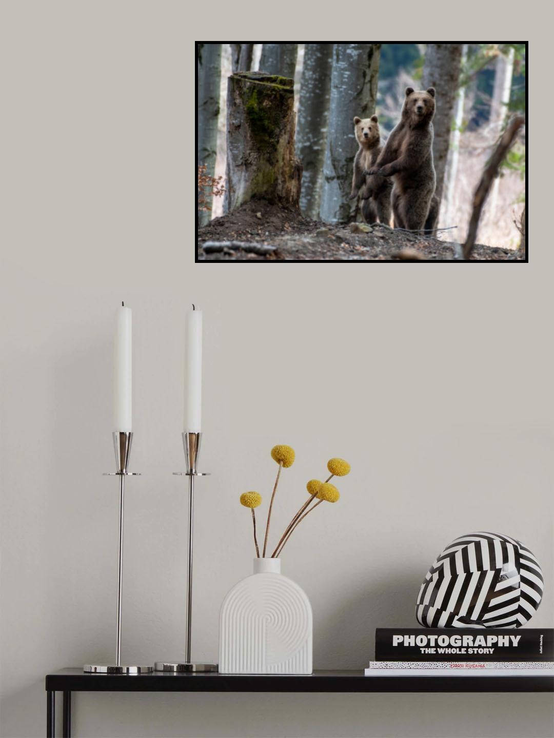 On the verge of night under the old beeches Poster och Canvastavla