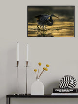Golden Bath Poster och Canvastavla