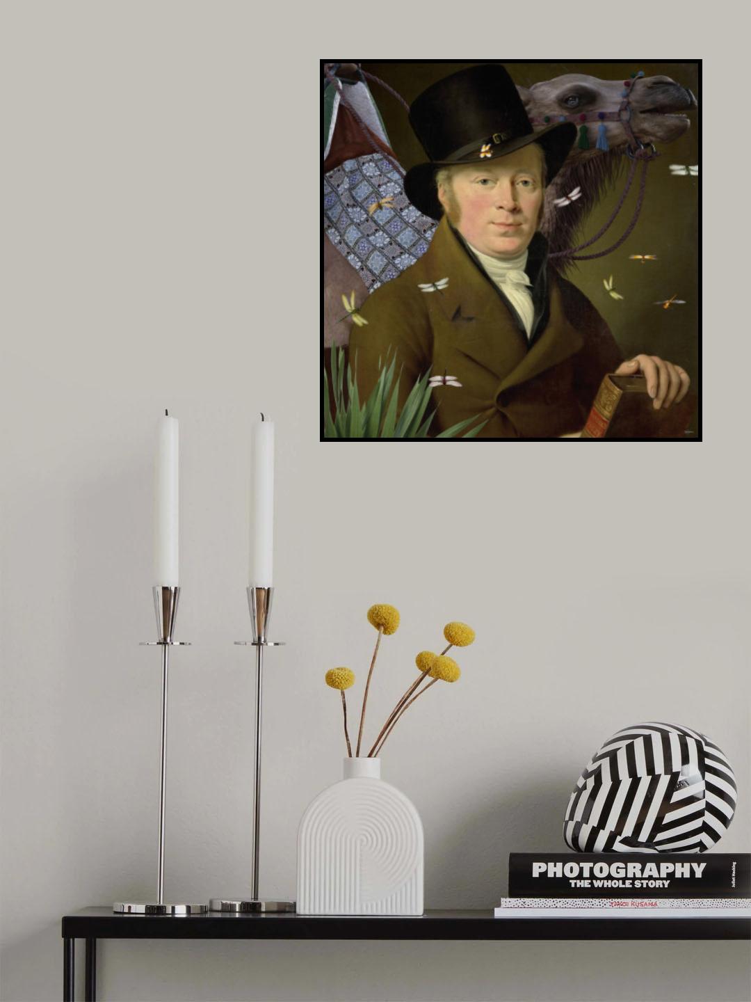 Lost with My Camel Poster och Canvastavla