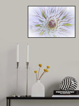 Poster och Canvastavla
