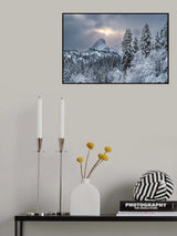 The alpine freshness Poster och Canvastavla