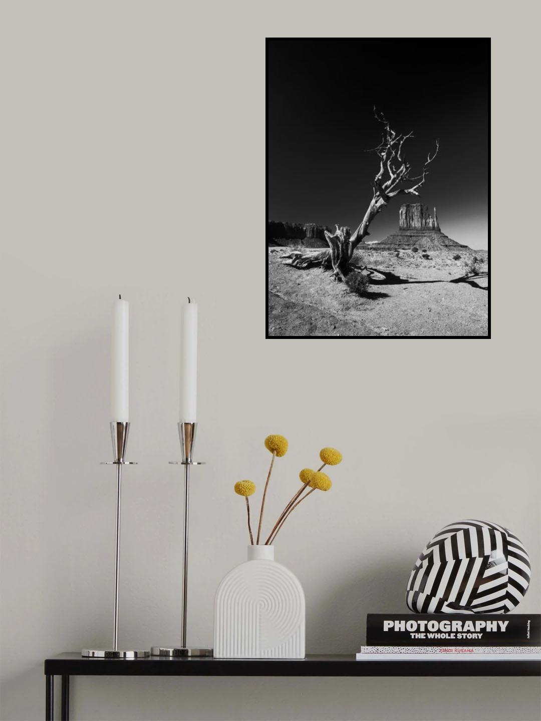 monument Poster och Canvastavla
