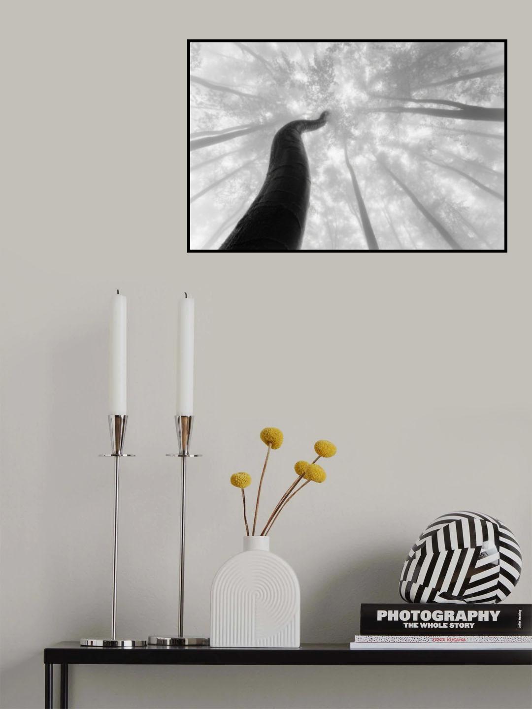 Growing to the sky Poster och Canvastavla