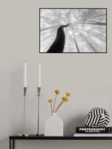 Growing to the sky Poster och Canvastavla