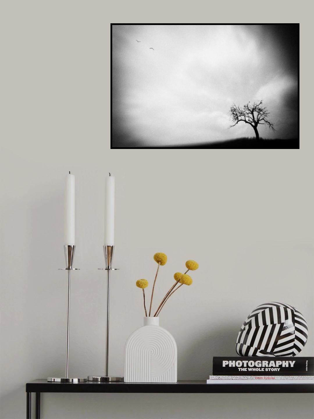 Birds Poster och Canvastavla