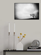 Birds Poster och Canvastavla