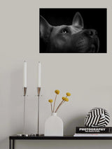 Look Poster och Canvastavla
