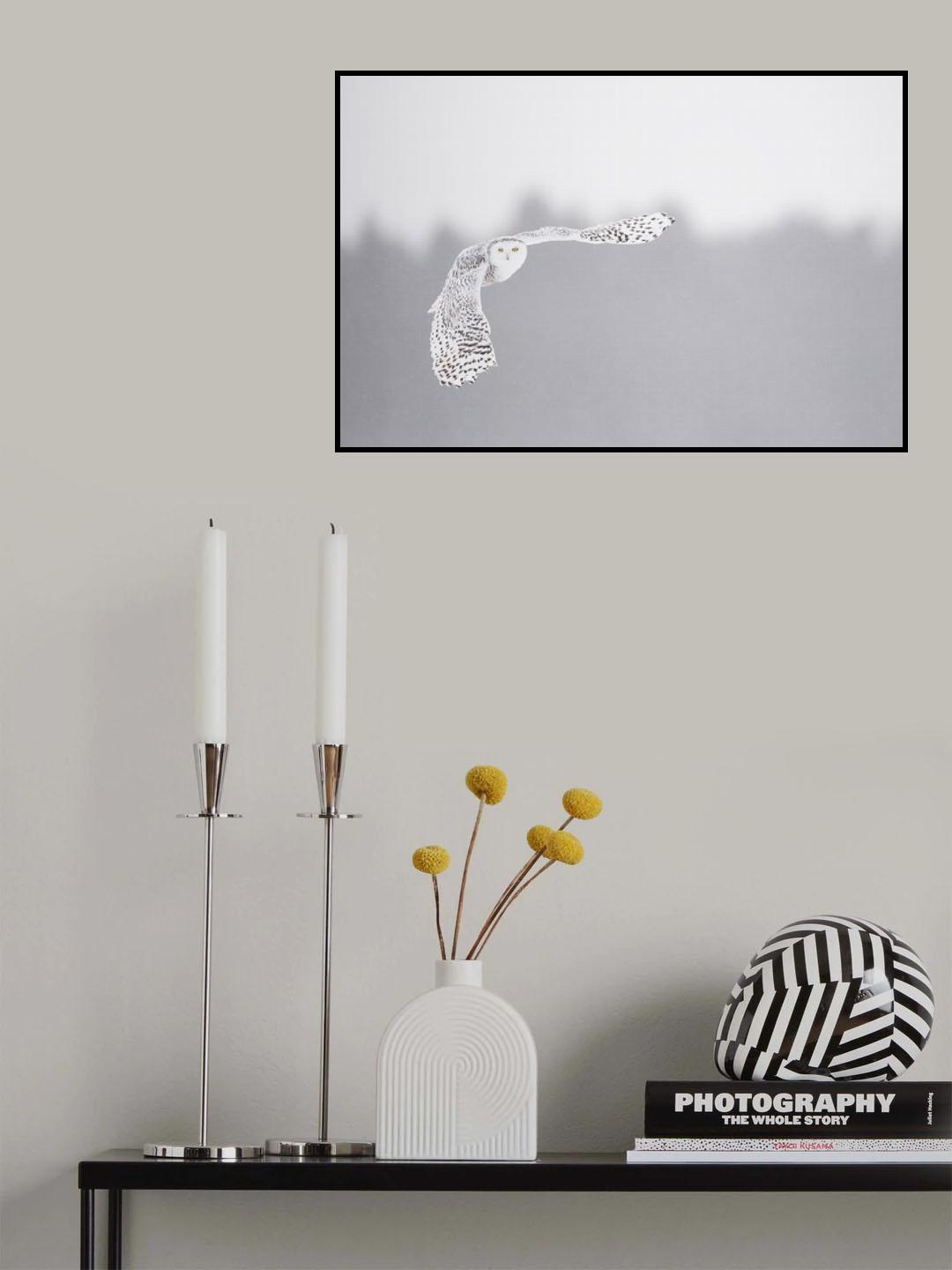 Flying in the frozen sky Poster och Canvastavla