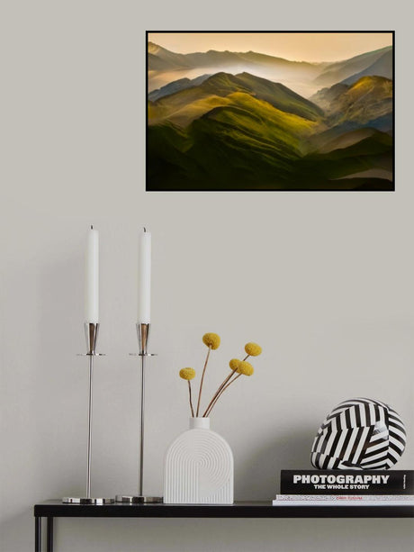 My back yard Poster och Canvastavla