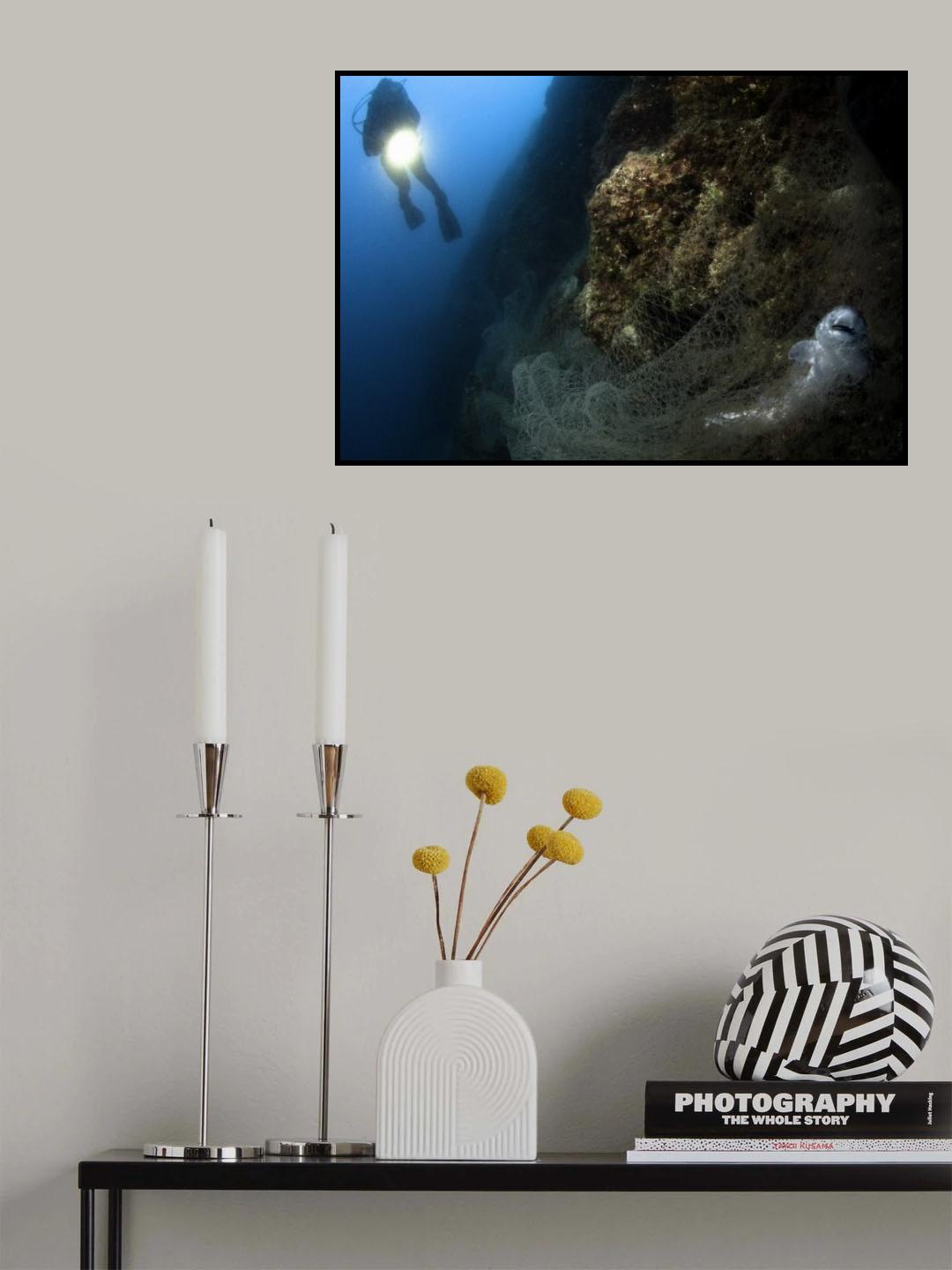 The Death of a Shark Poster och Canvastavla