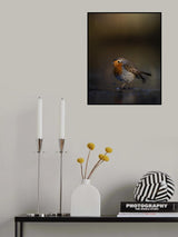 Robin eating a cold dish Poster och Canvastavla