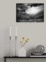 Poster och Canvastavla